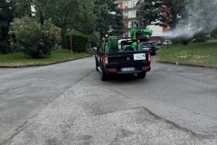 disinfestazione-zanzare-11