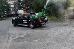 disinfestazione-zanzare-12