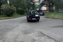 disinfestazione-zanzare-13