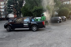 disinfestazione-zanzare-9